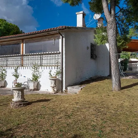 N269 - Numana, Singola Quadrilocale Con Giardino Lejlighed Numana