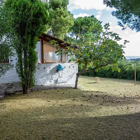 Appartement N269 - Numana, Singola Quadrilocale Con Giardino Numana